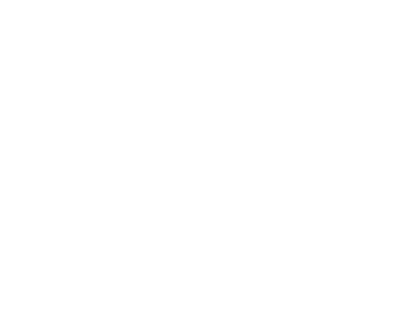 nuli logo