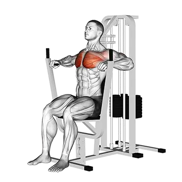 坐姿臥推機（Chest Press Machine）