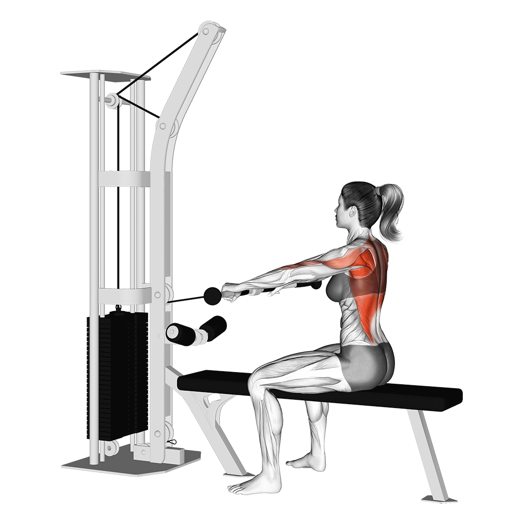 坐姿划船機（Seated Row Machine）