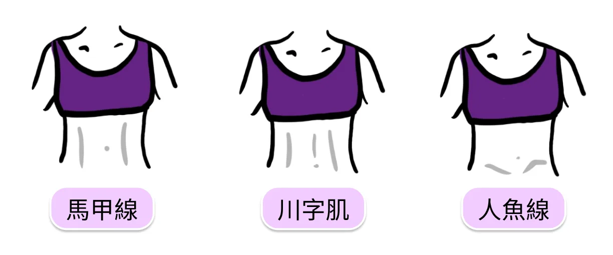 馬甲線人魚線差異