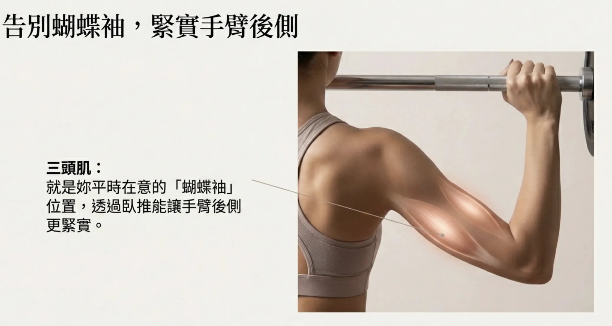 三頭肌：就是妳平時在意的「蝴蝶袖」位置，透過臥推能讓手臂後側更緊實。