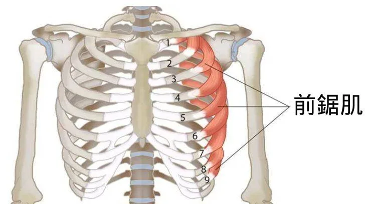 C68c4745976d4280a1b2689d7ca98d37tplv Xv4ileqgde Resize W 750